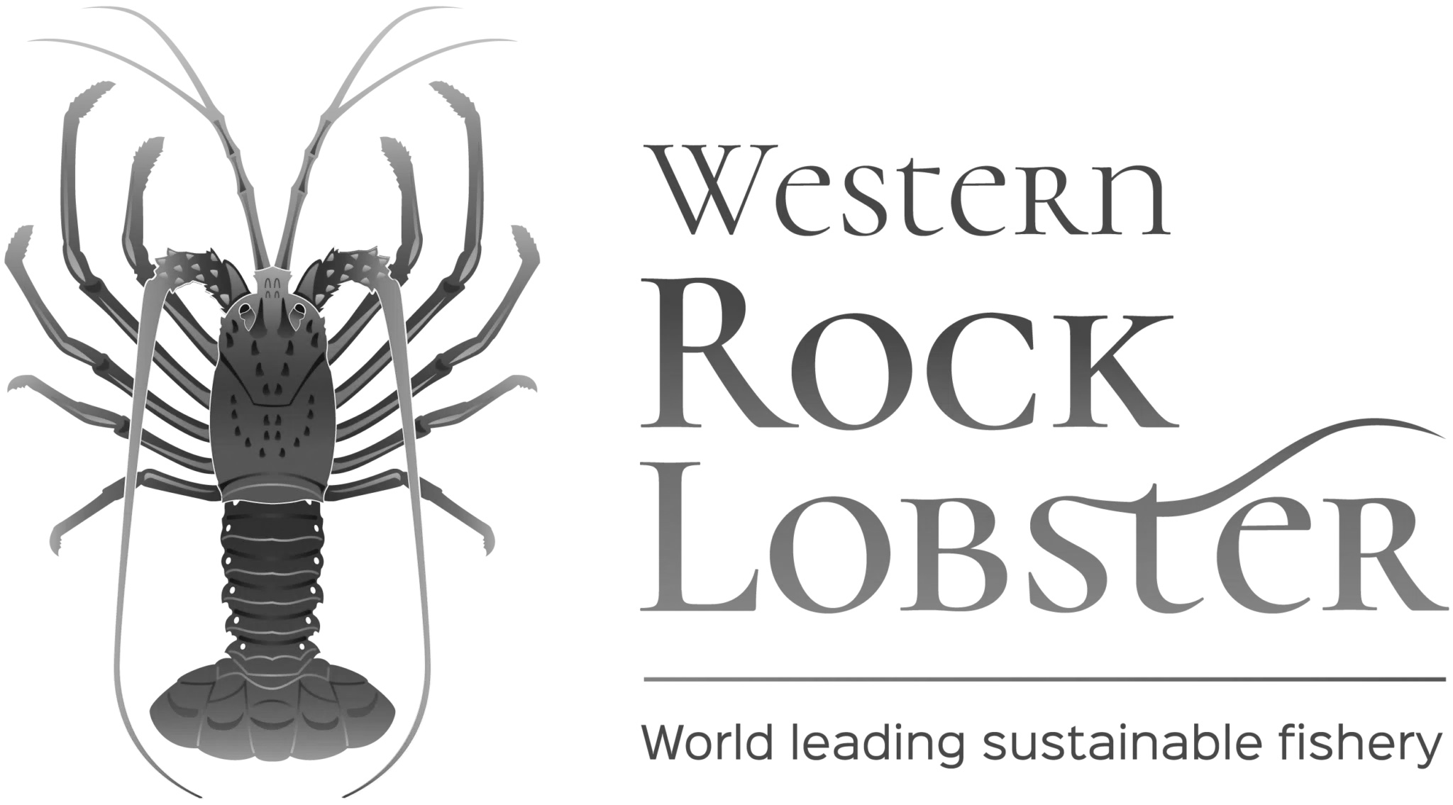 Western Rock Lobster